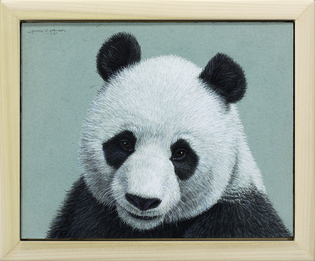 Panda Portrait